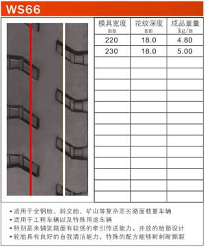 型号：WS66 ([content:p_xh])